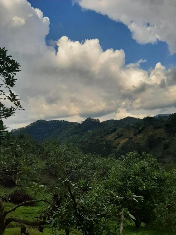 Alojamiento Rural San Francisco Salento Luaran gambar