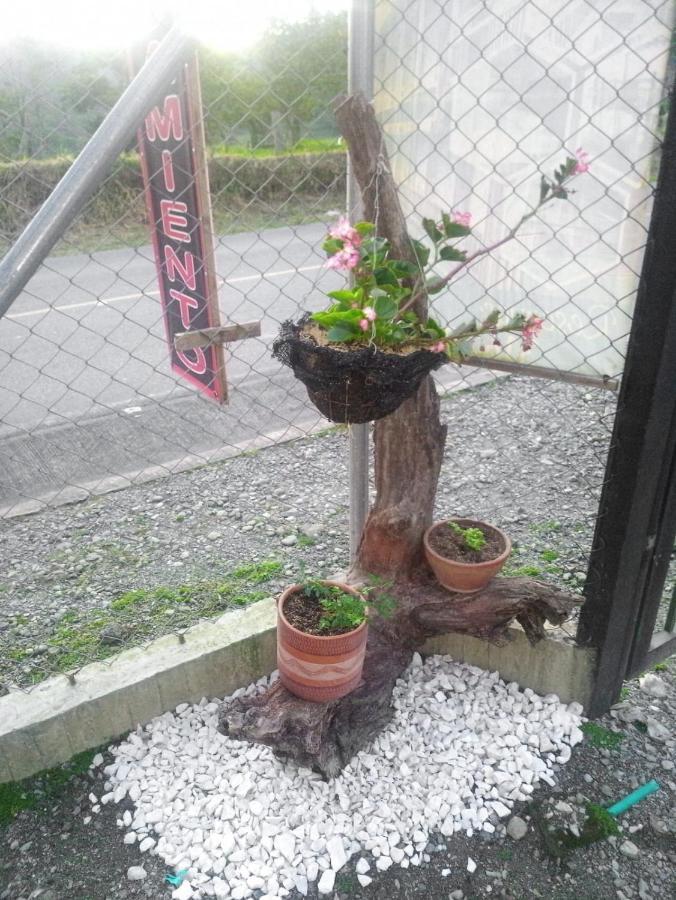 Alojamiento Rural San Francisco Salento Luaran gambar